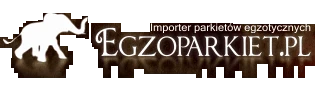 Egzoparkiet -  importer parkietów egzotycznych